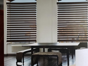 Zebra Dual Shades Blinds in Ontario, Canada by Modern Window Fashion
