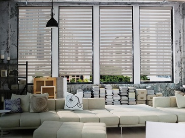 Blackout Zebra Blinds in Ontario, Canada by Modern Window Fashion