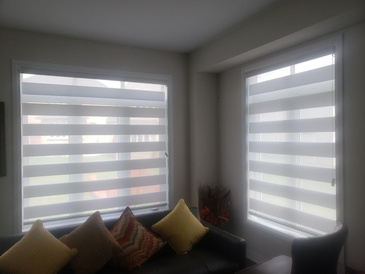 Blackout Zebra Blinds by Modern Window Fashion - Window Treatments in Ontario, Canada
