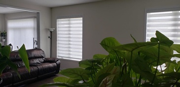 Modern Window Fashion - Zebra Dual Shades, Vision Blinds in Ontario, Canada