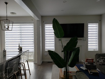 Zebra Dual Shades, Blackout Zebra Blinds by Modern Window Fashion - Window Treatments in Ontario, Canada
