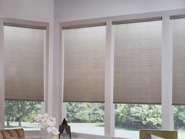 Sunscreens Roller Shades by Modern Window Fashion - Window Treatment Services in Ontario,  Canada