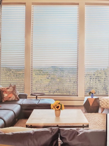 Opera Dual Shades Blinds by Modern Window Fashion - Window Treatments in Ontario, Canada