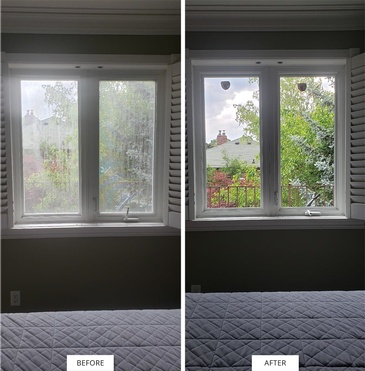 Window Glass Replacement