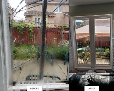 Window Glass Replacement