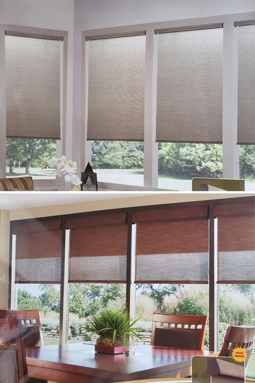 Blackout and light filter roller shades