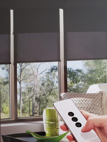 Blackout and light filter roller shades